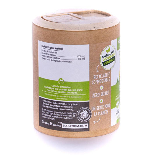 Nat & Form Pissenlit Bio et Vegan 200 gélules - ALAZINA